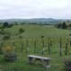 View from Winery - Omihi Hills