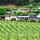 View of Winery - Omihi Hills