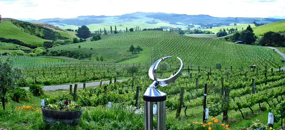 View from the winery - Omihi Hills