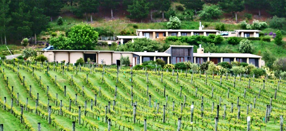 View of Winery - Omihi Hills